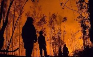 救火隊員還原木里的三天三夜：石頭都燒炸了，18年從未見過