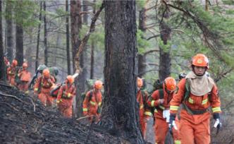 追夢(mèng)火焰藍(lán)｜北緯53度林海孤島"守護(hù)神" ：守護(hù)每一棵樹(shù)
