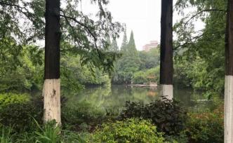 合肥雨花塘內(nèi)驚現(xiàn)一具浮尸，群眾報(bào)警轄區(qū)警方調(diào)查