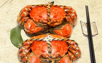 江蘇首例侵犯陽澄湖大閘蟹標志產品案開庭，檢察機關支持起訴