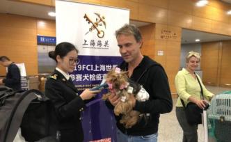 海關寵物新政明起施行，符合條件的汪星人喵星人可直接入境！