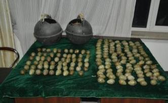 遼寧大連破獲一起非法盜獵海鷗蛋案，嫌疑人涉嫌刑事犯罪