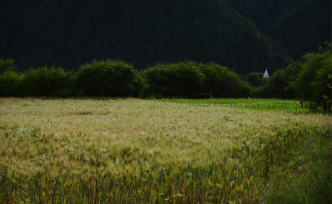 藏地田野筆記|脫嵌的財(cái)富與懸浮的未來(lái)