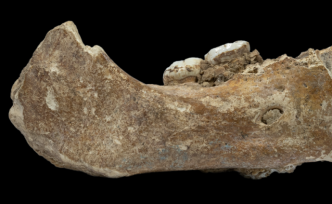 中国学者领衔发现夏河丹尼索瓦人：16万年前登上青藏高原