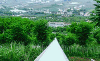 成都致2死游樂園17年就因事故被叫停，街道辦：沒法天天盯