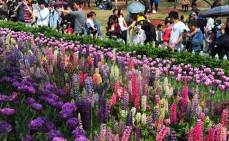 穿過(guò)人山花海的你，可曾想過(guò)城市綠化的“代謝物”去了哪兒？