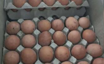 金華華僑學(xué)校食堂肉發(fā)臭？多名學(xué)生腹瀉