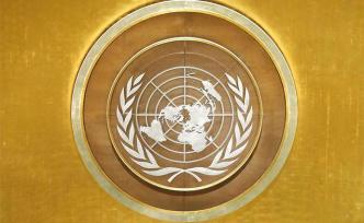 UN報告：全球百萬物種遭遇滅絕危機，人類社會處于危險境地