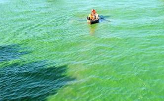 太湖巢湖等5月初進(jìn)入藍(lán)藻水華高發(fā)期，預(yù)警和監(jiān)測(cè)并不容易