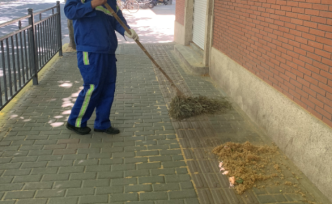 上海“滿城飛絮”還要多久？預(yù)計(jì)“還將持續(xù)十天”