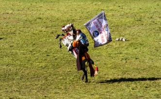 頹然消失在青海草原的一代馴馬人