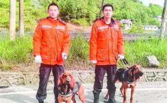 湖北兩男生疑失蹤當(dāng)?shù)爻鰟?dòng)搜救犬，查實(shí)竟是躲屋頂5天打游戲