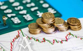 这些股票你敢买吗？老总竟不能保证财报真实性