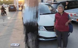 動物救助站災(zāi)后捐款使用被質(zhì)疑，義工：買車為送流浪狗就醫(yī)