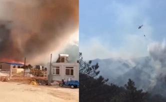 又是燒荒！錦州義縣山火肇事者被刑拘  