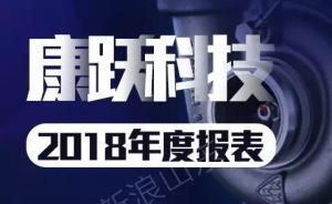 山東上市公司2018財報透視：“絕處逢生”的康躍科技