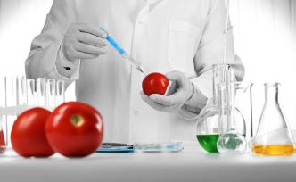 研究人員發(fā)現與西紅柿味道有關基因，有望培育更好吃的西紅柿