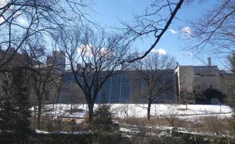 大都會(huì)博物館見(jiàn)學(xué)記③｜給歷史以未來(lái)