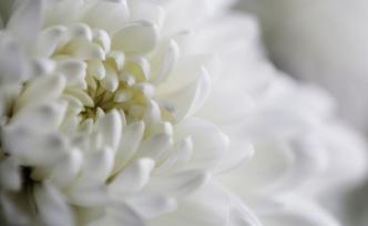 中紀委原副書記徐青逝世，5月16日舉行遺體送別儀式