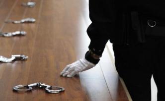 濱州5人因盜掘龍華寺遺址獲刑，檢方發(fā)檢察建議要求加強管護