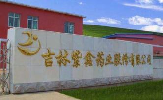 紫鑫藥業(yè)確認(rèn)首次擬引進(jìn)的工業(yè)大麻種子，審批尚存不確定性
