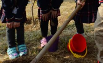 人民日報(bào)刊文評男孩大罵書店店員：該整枝時(shí)就要整枝