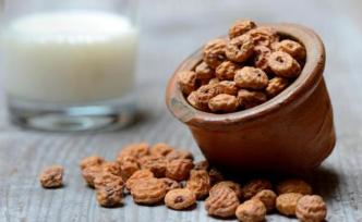 填補大豆空白，油莎豆來救場？