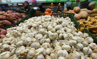 “蒜你狠”卷土重来，今年新蒜的收购价较去年高出三四倍