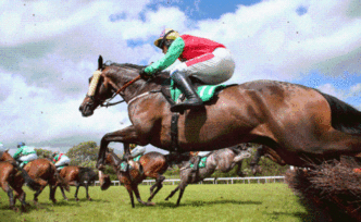 《海南省發(fā)展賽馬運(yùn)動指導(dǎo)意見》已擬訂，報省政府審定