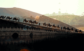 重磅微視頻｜發(fā)展之橋