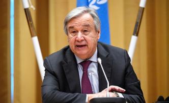 世界生態(tài)系統(tǒng)面臨威脅，聯(lián)合國吁采取行動(dòng)保護(hù)生物多樣性