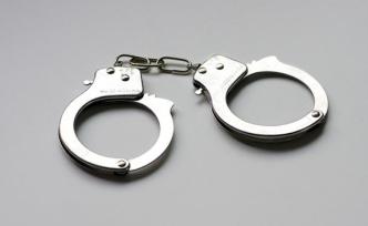 國家二級保護植物被盜伐做成菜墩，吉林四名嫌犯被警方抓獲