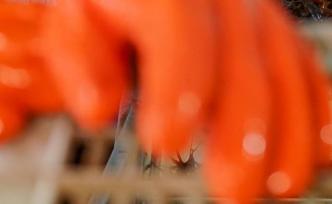 將學(xué)生推上流水線就是頂崗實(shí)習(xí)？保護(hù)職校生實(shí)習(xí)權(quán)益仍是難題