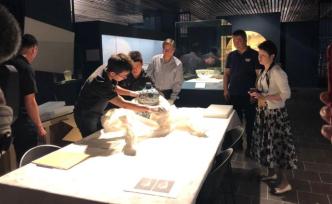 先睹为快｜解开景德镇瓷器“空白期”之谜，上博新展布展