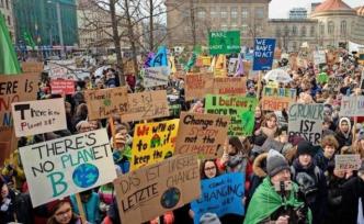 欧洲议会大选前的德国碳税争议