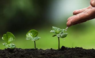 地方环境污染治理为什么需要中央环保督察？