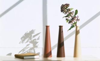 中青報刊文：教育局長需要的不僅是“專業(yè)化”