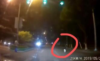 寧波車主撞寵物狗被認定主責，交警回應：改判寵狗主人負主責