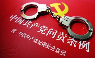 海南昌江一處級干部放任家人與黑惡勢力交友合作，被開除黨籍
