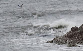 辽宁海事局：渤海及渤海海峡相关海域有军事任务，禁止驶入