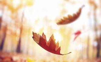 中國石油玉門油田分公司總經理陳建軍逝世，享年56歲