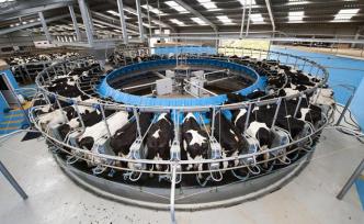 莽萍︱“吃”出來的選擇：人類需要怎樣的農(nóng)業(yè)？