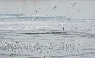 山东：下一步全力支持跨渤海海峡通道工程推进开展