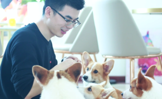 深圳首家寵物狗咖，據(jù)說治愈效果等于四個蔡文姬