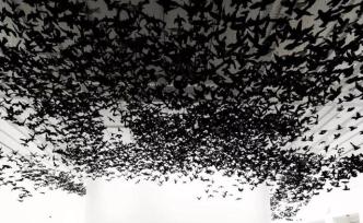 萬只爆破瓷鳥如影隨形，蔡國強墨爾本展“瞬間山水”