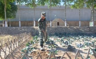 专稿｜“南泥湾精神”的新传人