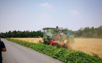 上蔡一空氣質(zhì)量監(jiān)測站附近農(nóng)田禁收割機(jī)，官方：改進(jìn)工作方法
