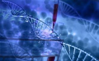 “基因魔剪”新系統(tǒng)無(wú)需斷鏈編輯基因，有助提高基因編輯效率