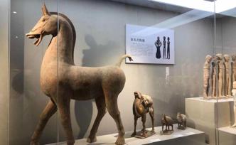 民間博物館創(chuàng)辦人罕見成被告：買來的文物如何成了贓物？