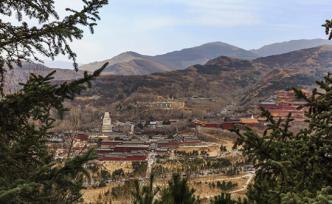 網(wǎng)傳“五臺山抓假和尚”，五臺山管委會：系三年前視頻